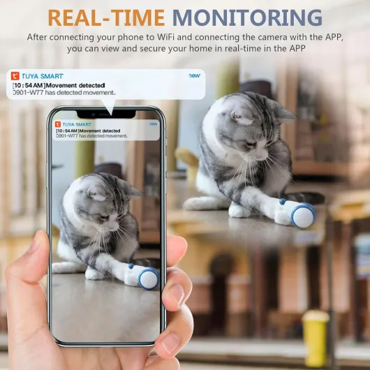 71-0tDT1wCL._AC_SL1500_