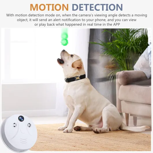 71EmKaYTLZL._AC_SL1500_