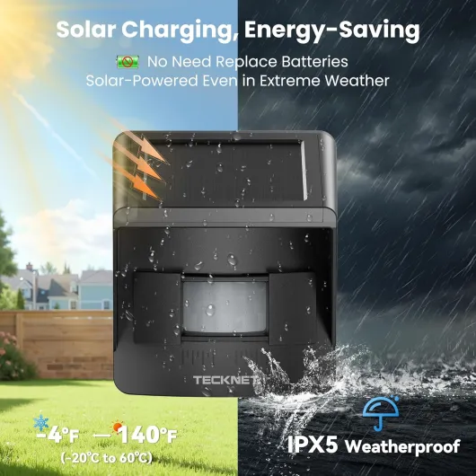 81pweIDpLGL._AC_SL1500_