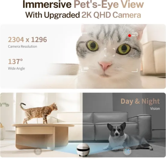 81X3bonGvOL._AC_SL1500_