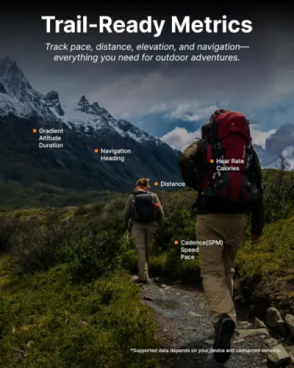 81JFbB6ZrGL._AC_SL1500_