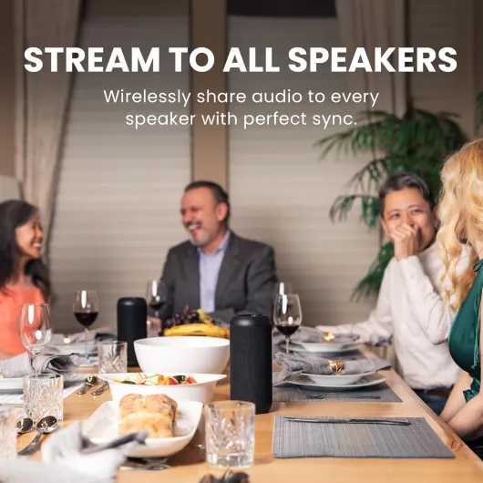 Harmony 2 – Multi-Room Wireless Speaker System with Bluetooth & Wired Inputs, Easy Setup, Expandable, 30ms Low-Latency Sync for Whole-Home, Meeting Rooms & Small Indoor Events